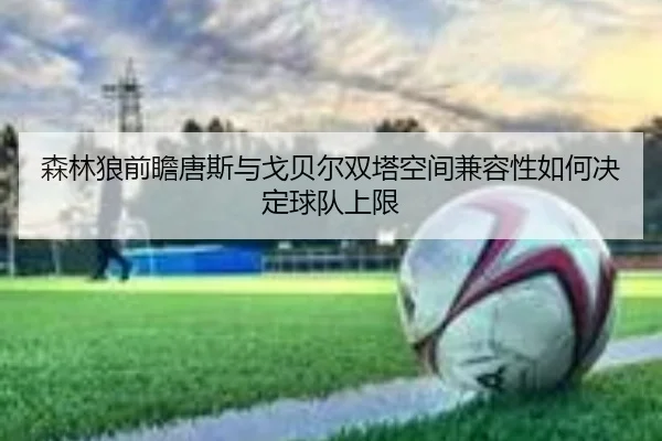 森林狼前瞻唐斯与戈贝尔双塔空间兼容性如何决定球队上限